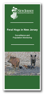Image of Feral Hog Brochure